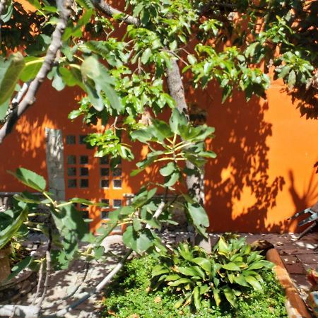 Ex Hacienda Leilighet Guanajuato Eksteriør bilde