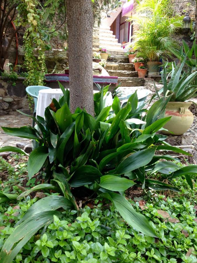 Ex Hacienda Leilighet Guanajuato Eksteriør bilde